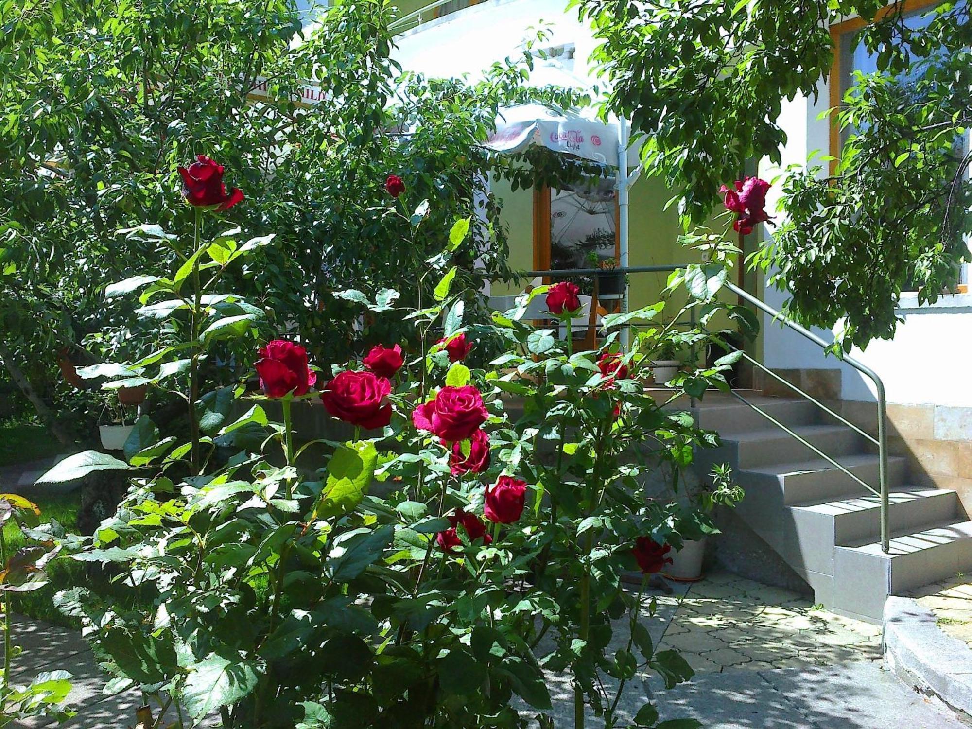 Family Hotel Sonata Samokov Buitenkant foto