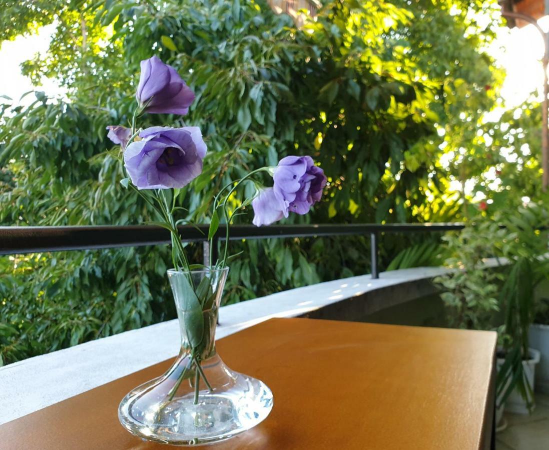 Family Hotel Sonata Samokov Buitenkant foto